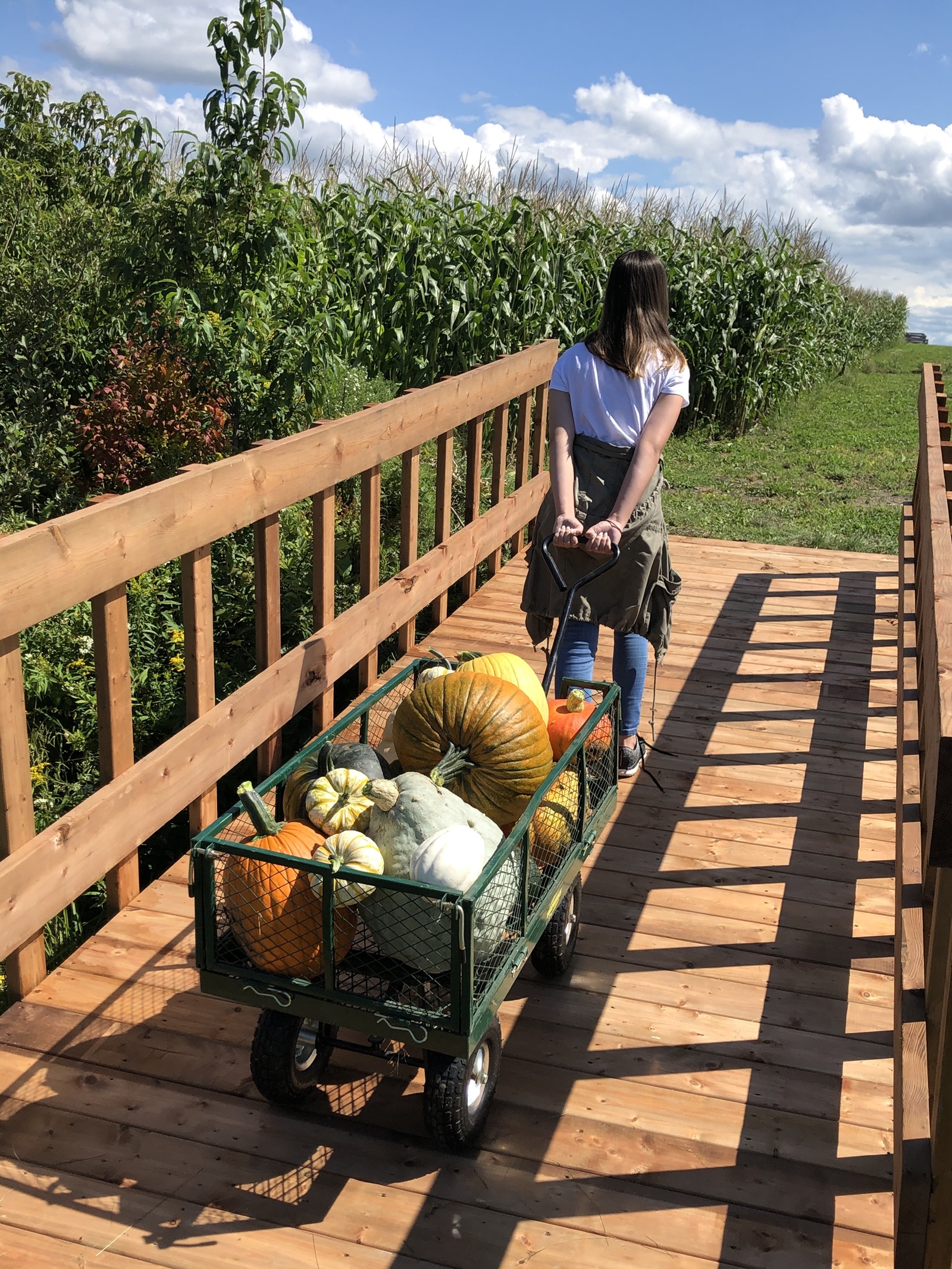 La Citrouille enchantée (SainteClotildedeHorton) Tourisme Centre