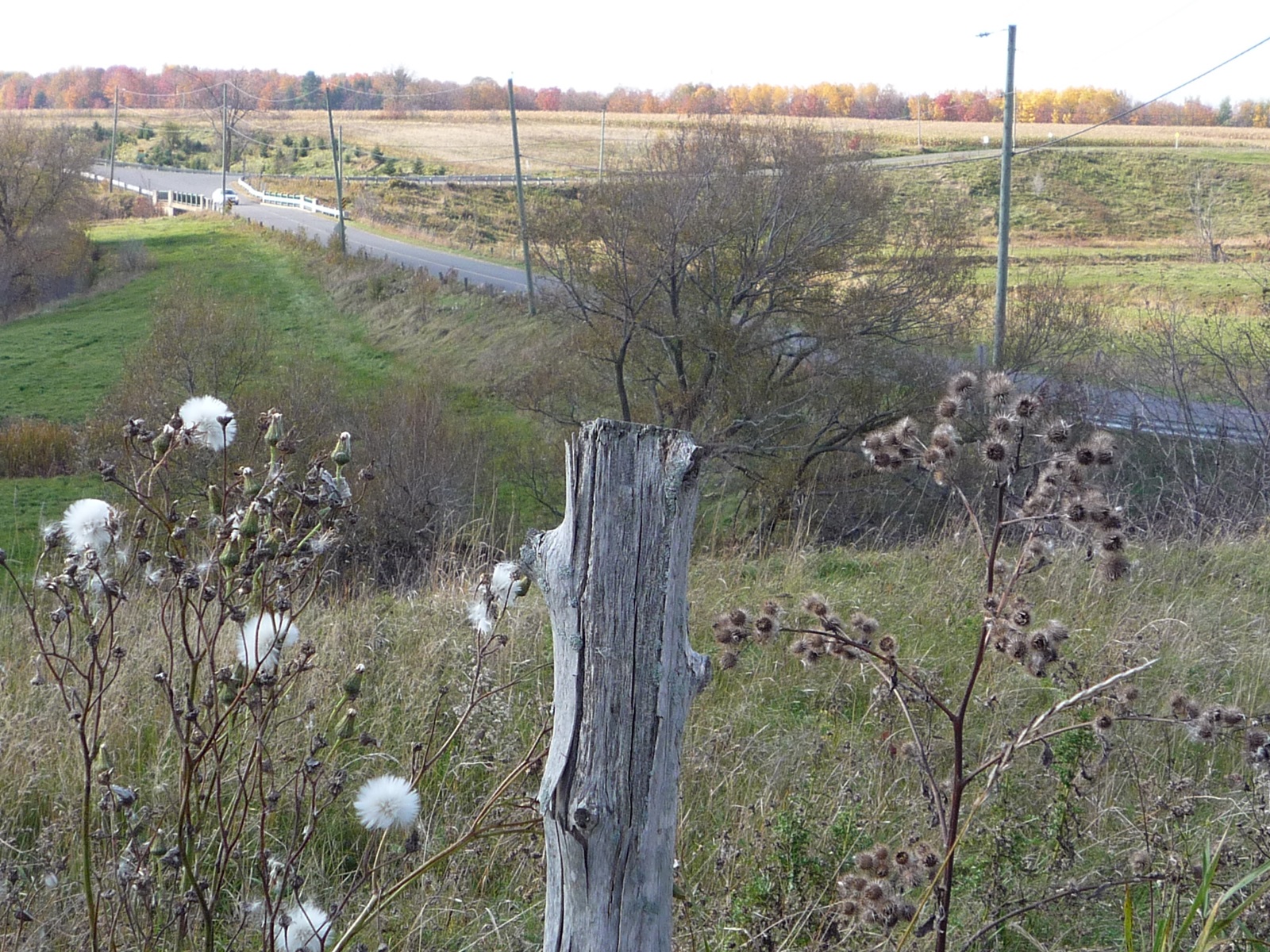 Municipalité de SaintZéphirindeCourval Tourisme CentreduQuébec