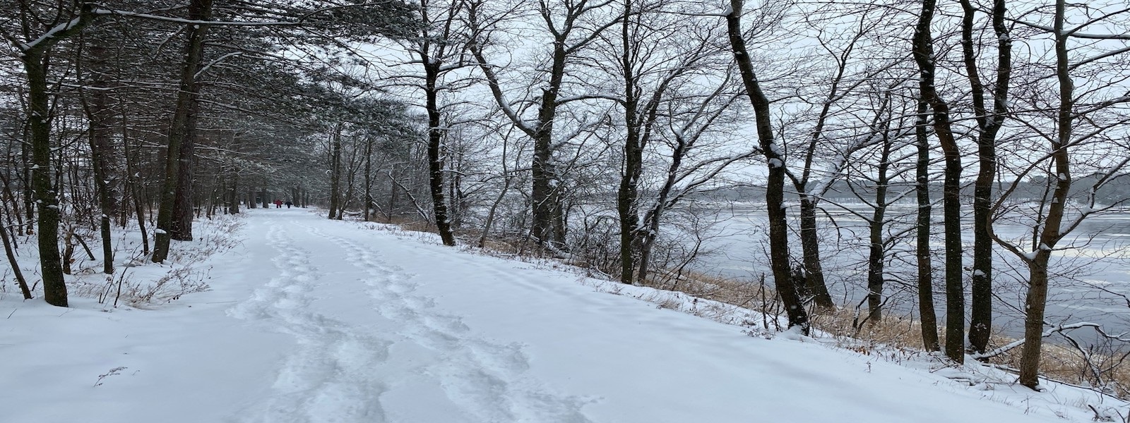 Parc régional de la Forêt Drummond (Drummondville) Tourisme Centredu