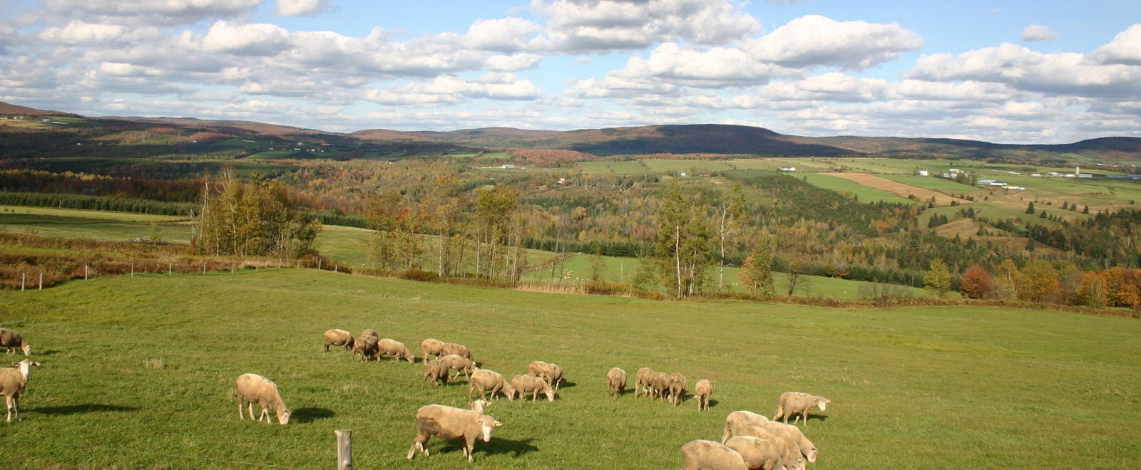 Municipalité de SaintRémideTingwick Tourisme CentreduQuébec