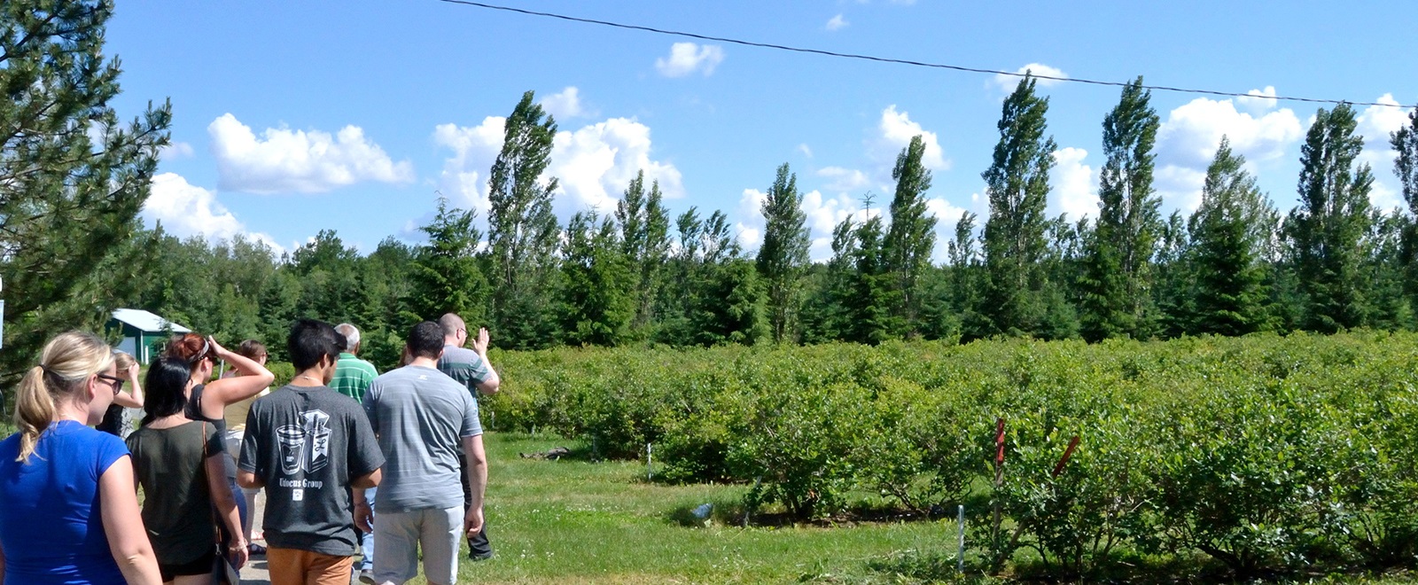 Verger Nicolet (GrandSaintEsprit) Tourisme CentreduQuébec