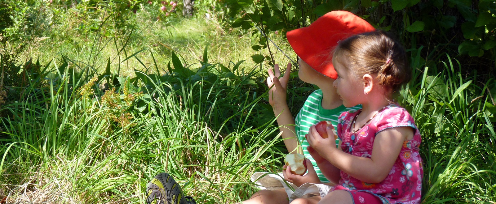 Verger Nicolet (GrandSaintEsprit) Tourisme CentreduQuébec