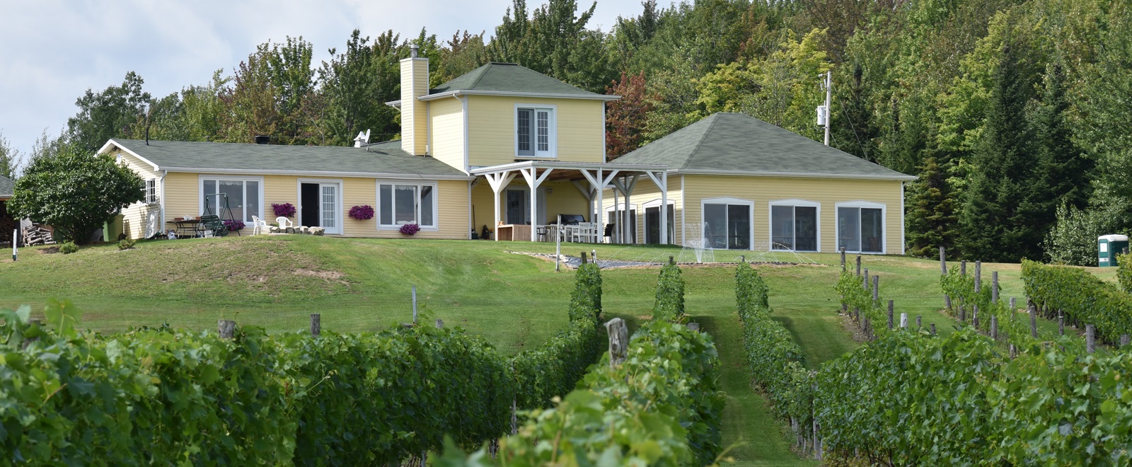 Vignoble Les Côtes du Gavet (Tingwick) Tourisme CentreduQuébec