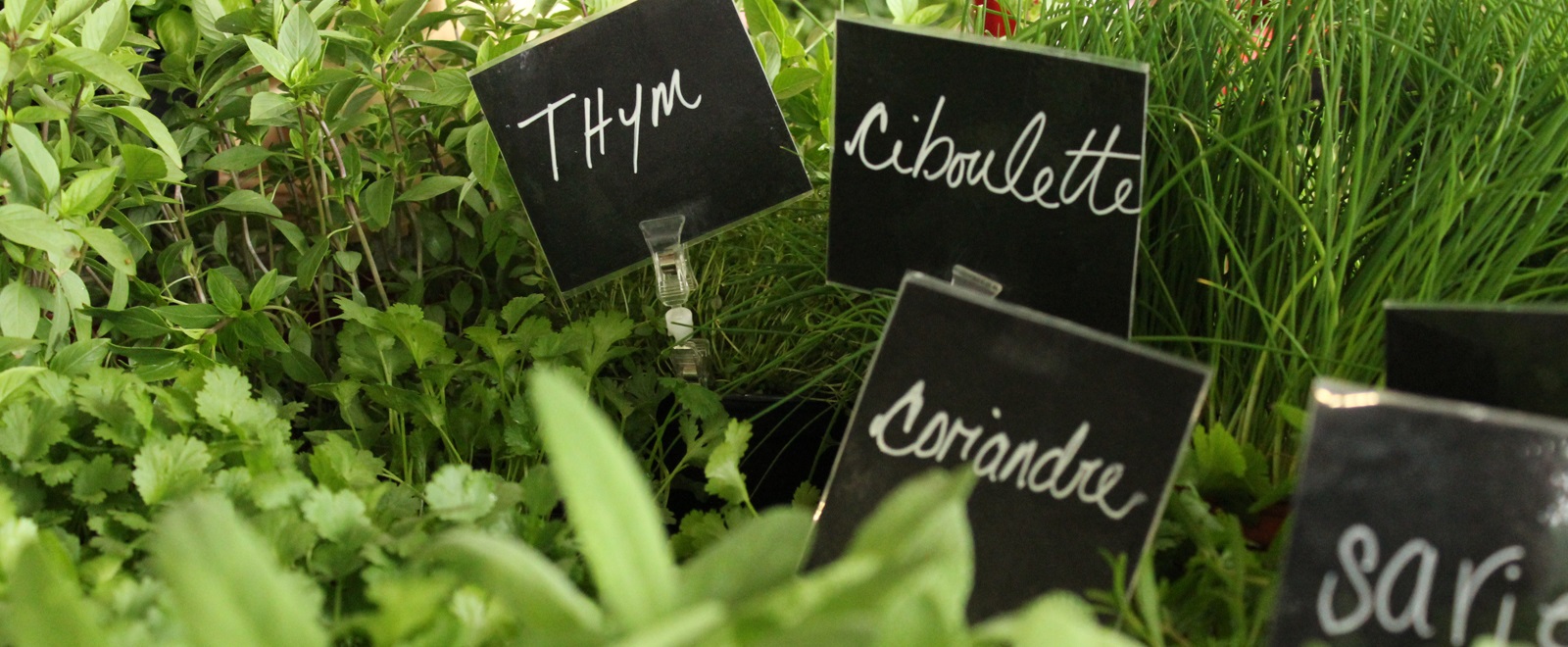 Marché public de Deschaillons (DeschaillonssurSaintLaurent