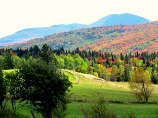 Municipalité de Notre-Dame-de-Ham