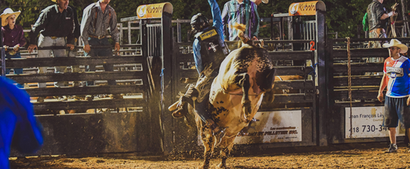 Rodéo Ste-Perpétue