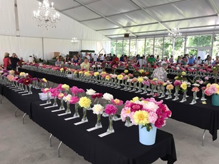 Le Grand Bal des Pivoines et des Roses