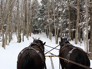 Cabane à sucre Chez Ti-Père