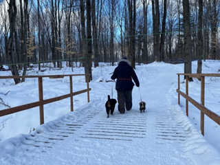 Les sentiers de l'Érablière de Stanfold