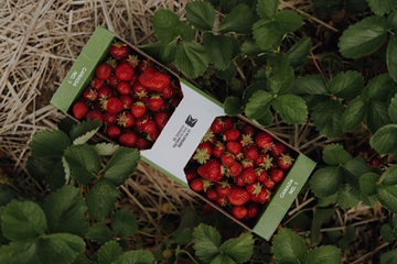 Ferme La Ricardière
