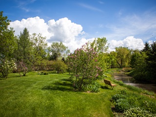 Jardin des lilas de Bécancour