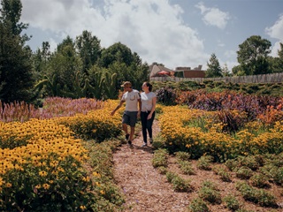 Parc Marie-Victorin