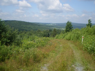 Sentier des trotteurs