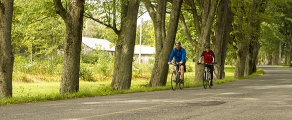 CIRCUIT DES TRADITIONS - LA ROUTE VERTE