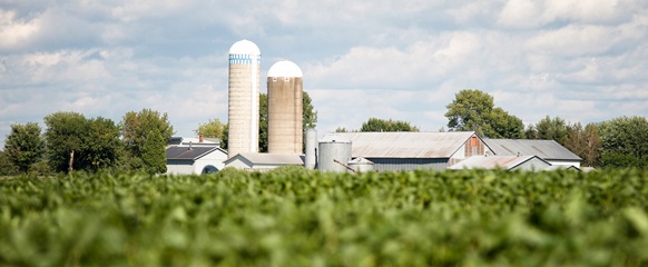 BOUCLE CHAMPÊTRE DE BÉCANCOUR