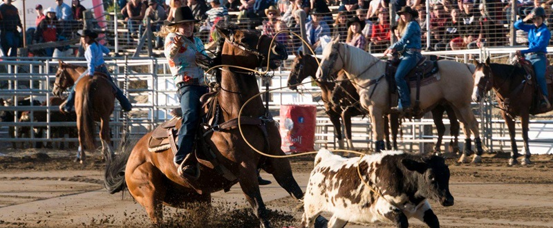 Festival du Boeuf d'Inverness - Rodeo