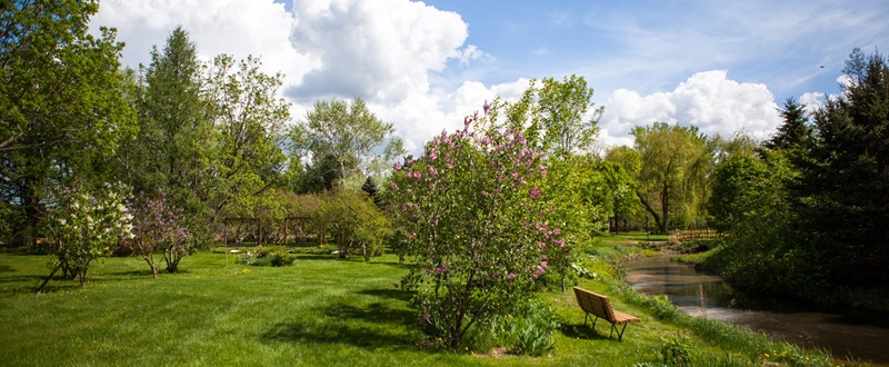 Jardins des lilas de Bécancour - Flowers