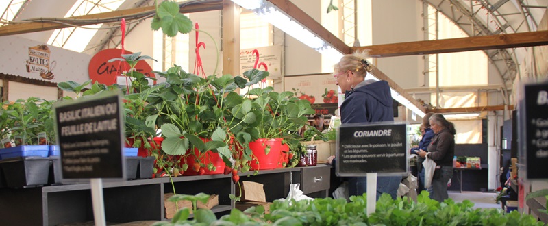 Marché Godefroy - Herbs counter