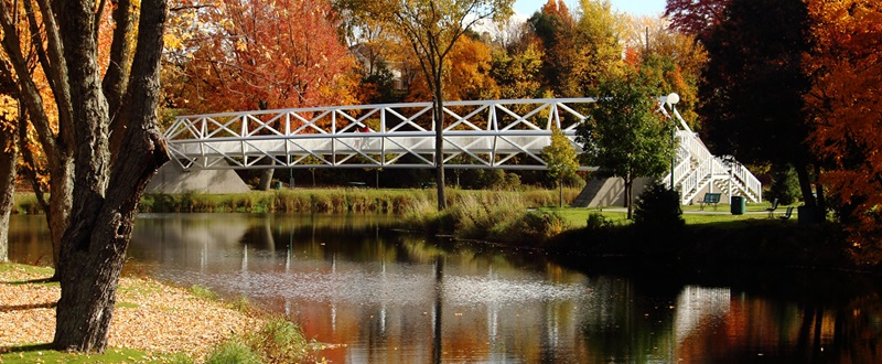 VIlle de Plessisville - Fall