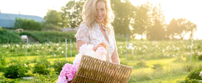 Pivoinerie Lili - Bannière 1