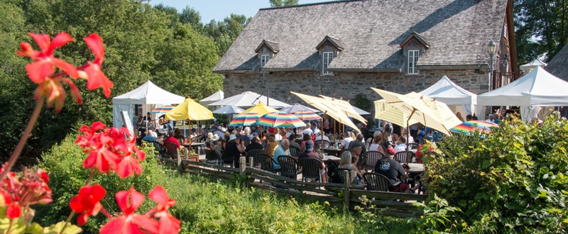 Moulin michel 2024 - bannière 1