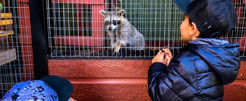 Ente^te 1 - Musée Bio