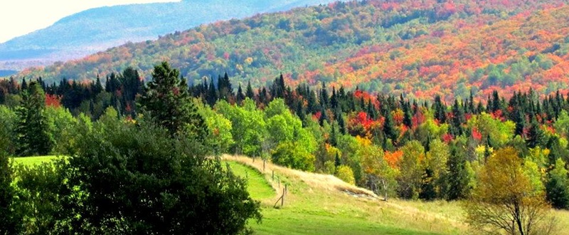 Notre-Dame-de-Ham - Automne