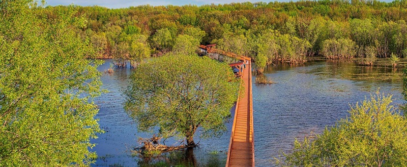 Parc écomaritime de l'Anse du Port - Vue