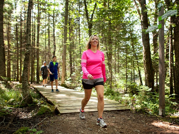 Les parcs régionaux : au coeur de la nature!
