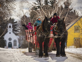 Cabanes à sucre - Balade en carriole