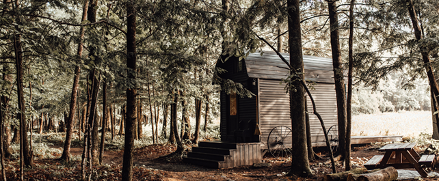 Magic tingwick - bannière chalets 3