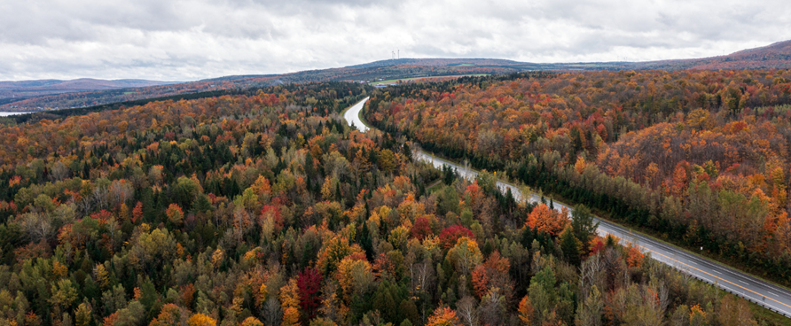 Spend 72 hours enjoying the fall flavors and colors of Centre-du-Québec