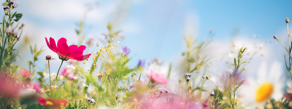 Se ressourcer au printemps, une escapade bien-être au coeur du Centre-du-Québec