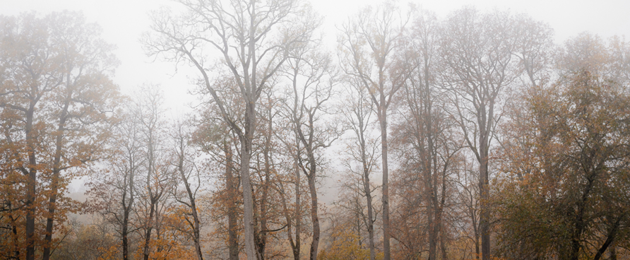 Escapade pour contrer la grisaille : 7 idées pour se ressourcer au Centre-du-Québec