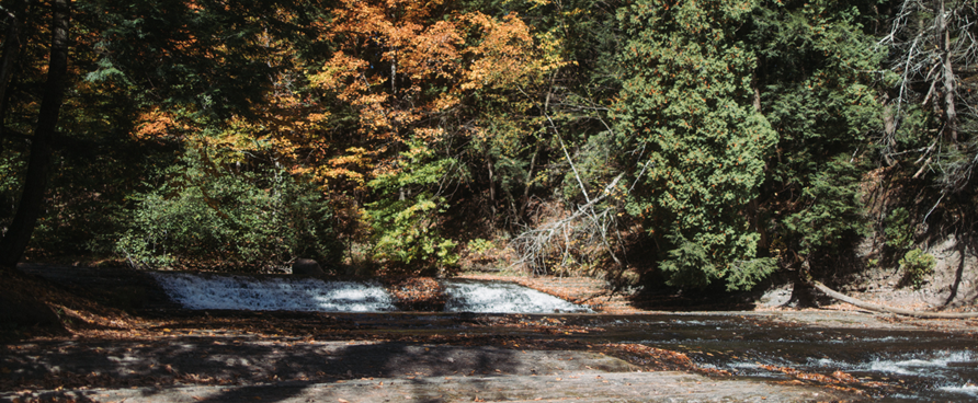 L’automne sous la tente : un défi doux, une récompense grandiose