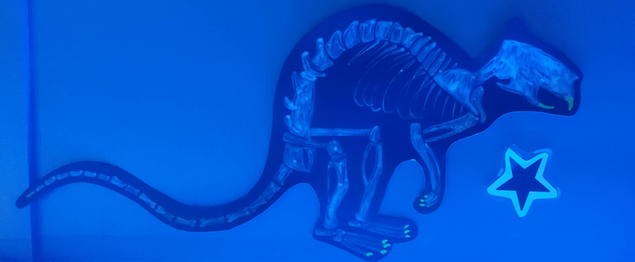 Effroyables ou admirables? Une expérience d’Halloween à découvrir au Musée de la Biodiversité