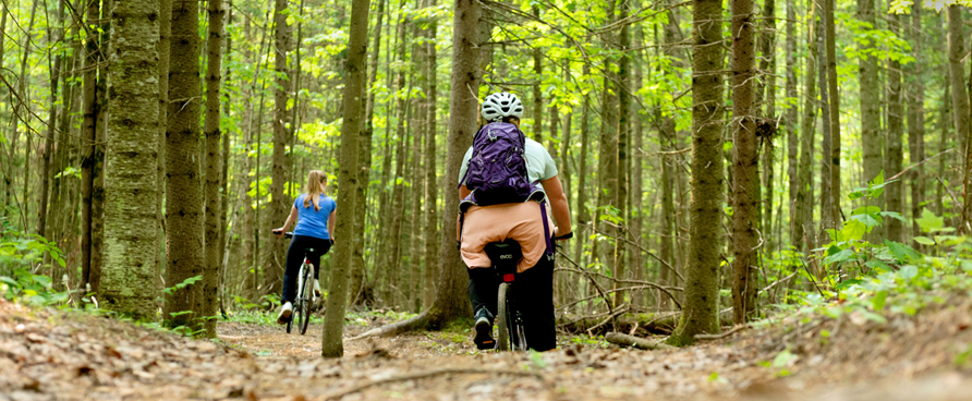 Prolongez l’été en famille : idées plein air pour la fête du Travail