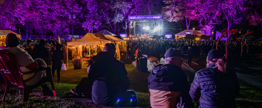 Plongez dans l’ambiance électrisante du Festival Trad-Cajun de Drummondville!