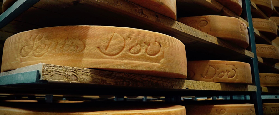 Les stars du plateau : découvrez les fromageries centricoises