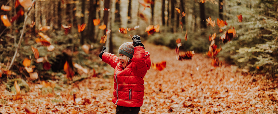 Sous les feuilles, la nature centricoise se révèle