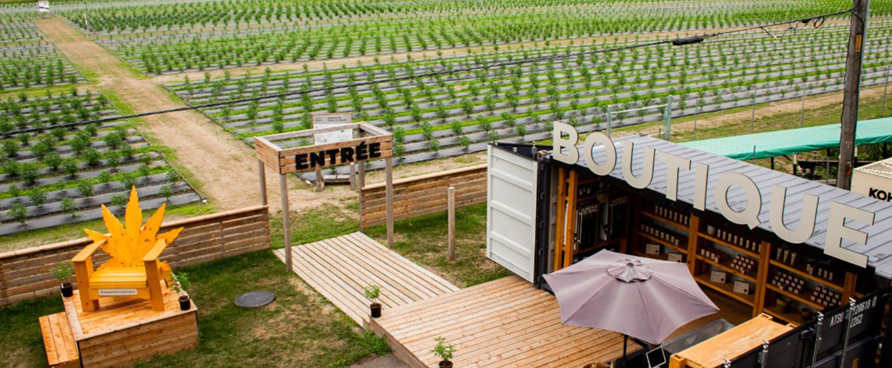 Centre-du-Québec : où la culture sort des sentiers battus