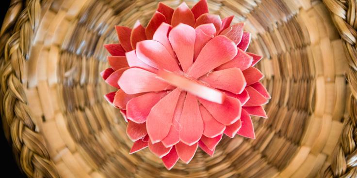 Odanak : un trésor abénakis à découvrir au Centre-du-Québec