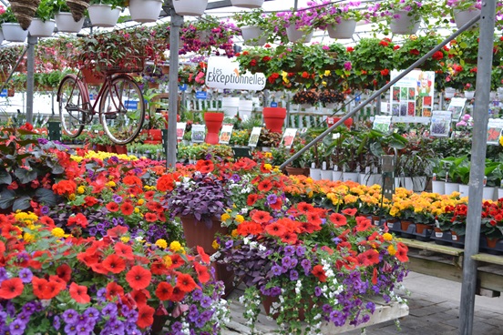 Coup de coeur pour Plessisville