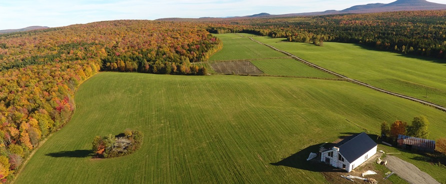 Confrérie et bonne bière