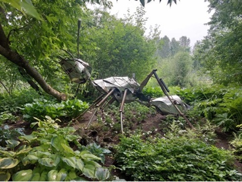 Une journée haute en couleur au Parc Marie-Victorin