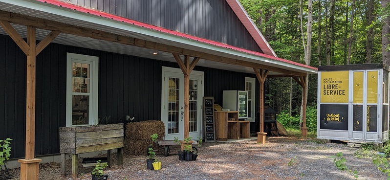 Une ruche comment ça marche ?