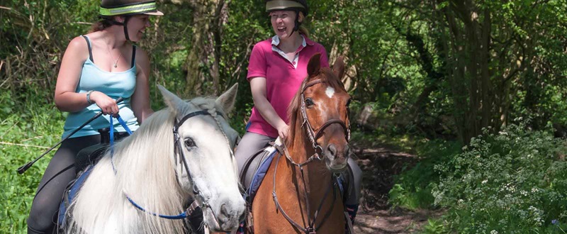 Camping équestre du Parc régional de la rivière Gentilly - Horseback riding