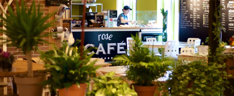 Rose Drummond - Café