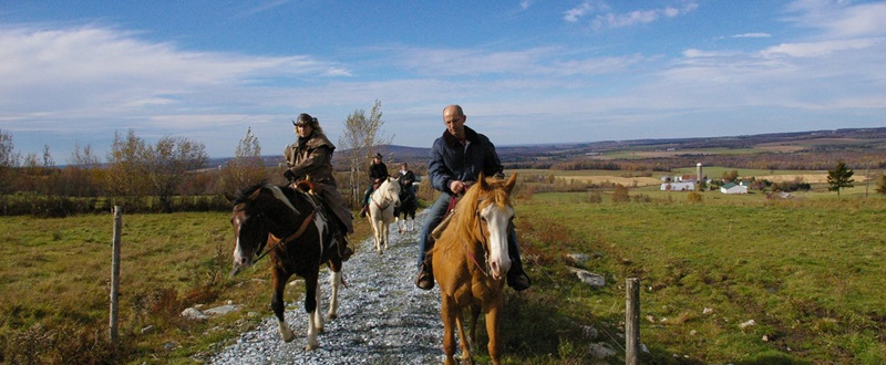 Les sentiers équestres aux milles collines - Equestrian