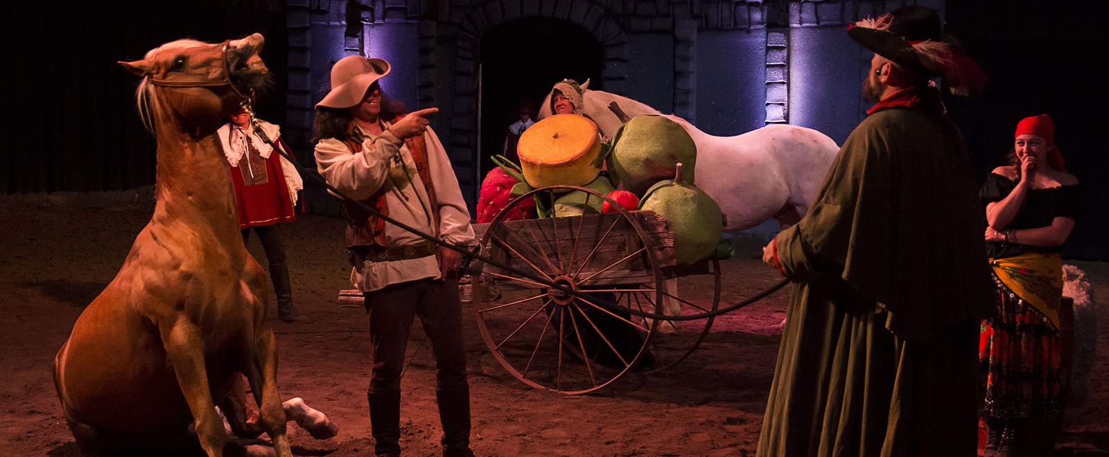 La Véritable Histoire De D Artagnan Vivre la véritable histoire de D'Artagnan et des Trois Mousquetaires